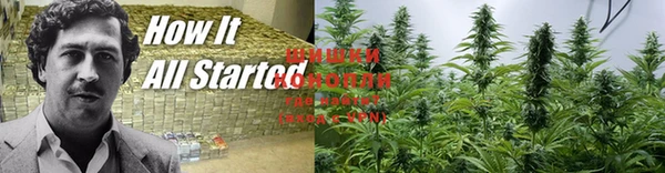 PSILOCYBIN Алексин