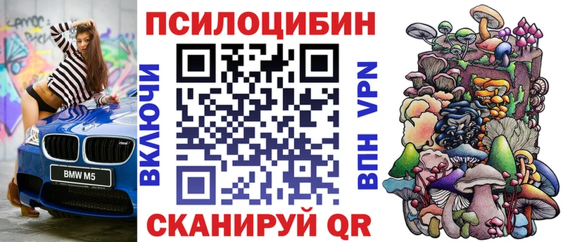 блэк спрут   купить  сайты  Санкт-Петербург  Галлюциногенные грибы мицелий 